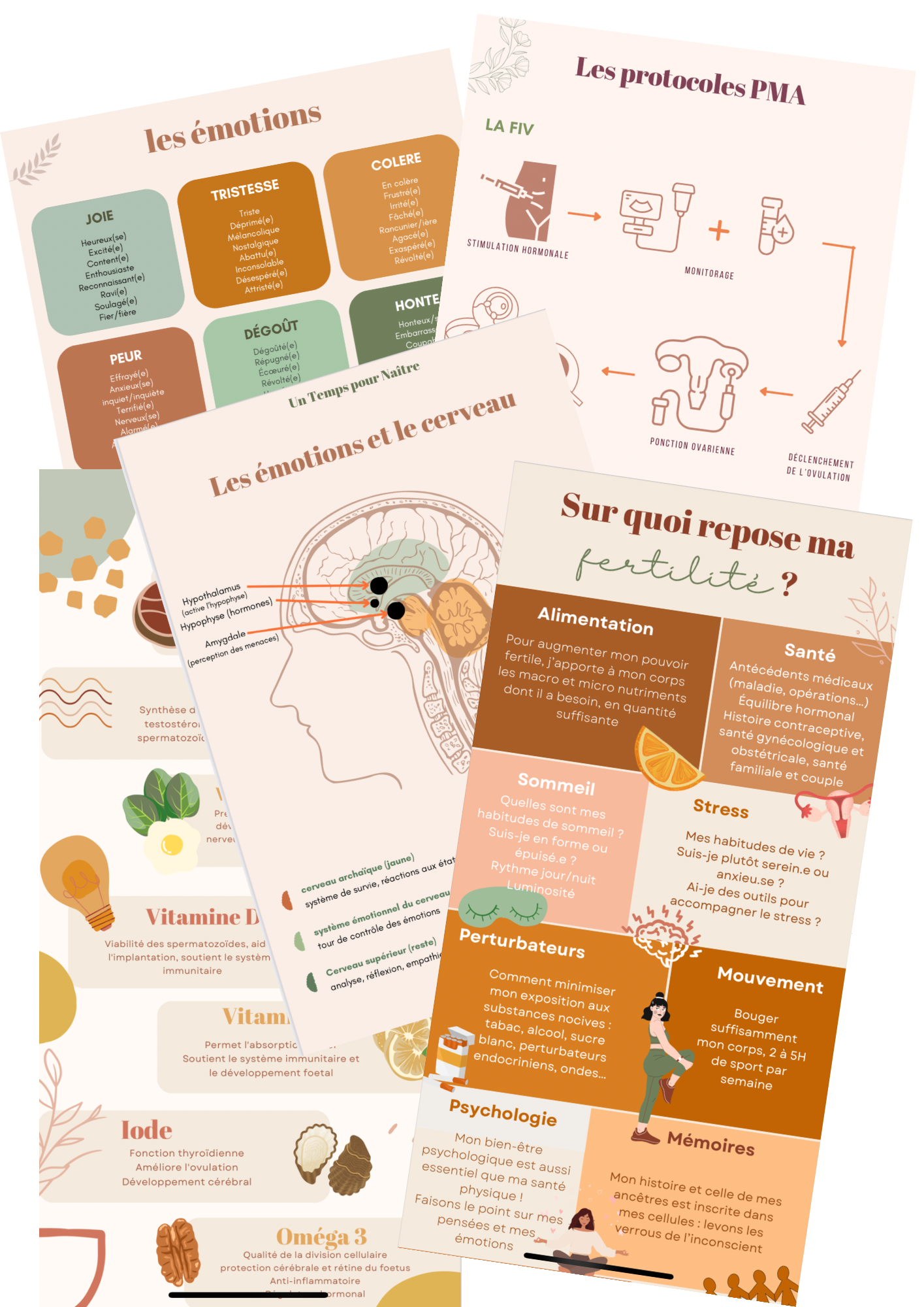 Programme formation émotions fertilité