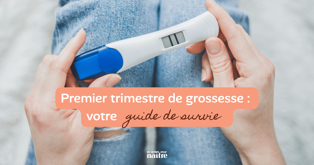 début de grossesse début de grossesse